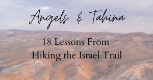 “This beautifully written book is a love song to the land and people of Israel. It will make you want to leave the confinement of your routine and journey into the land, and into yourself.” —Yossi Klein Halevi, Author of Letters to My Palestinian Neighbor